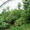 The Rainforest Biome, The Eden Project, Cornwall