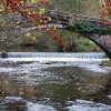 Bridge in Ilam Park, Derbyshire