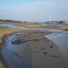 Shell Bay December 2006
