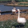 Viewing the visitors