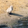 All alone