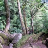 Becky Falls Trail