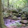 Becky Falls