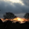 Lyndhurst, Hampshire
