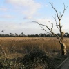 Poole Harbour, Upton Country park
