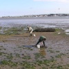 Sandbanks, Dorset