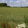 Bure Valley Railway