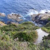 Coastal path near polperro
