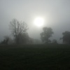 Misty morning