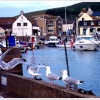 Cosy Bay