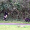 Lynton, Devon.