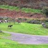 Lynton, Devon.