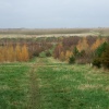 Battram Wood, Battram Village, near Ellistown