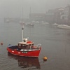 Misty Morning