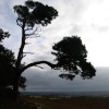 At Faringdon Folly