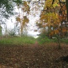 Autumn at Faringdon Folly