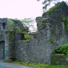 Abbey Ruins
