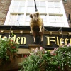 Golden Fleece