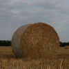 Country life