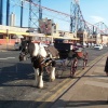 Carriage Ride