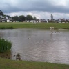 Cricket on the Green