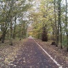 'Green Drive'