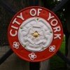 White rose of York