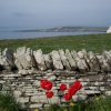 A view of Shapinsay harbour and village. May 2004
