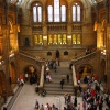 Natural History Museum