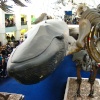 Natural History Museum
