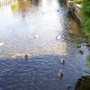 River Stour