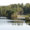 Tarn Hows, Coniston, Cumbria