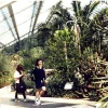Princess of Wales Conservatory
