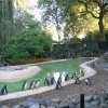 London Zoo