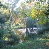 London Zoo