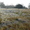 Winter in The Park