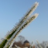 Winter in The Park