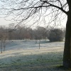 Winter in The Park