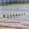 Worthing Seagulls
