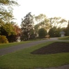 Cliffs Garden