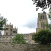 From The South