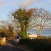 Looking Towards - Cowshot.
