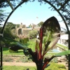 Walmer Castle