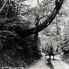 Chanctonbury Ring Road,  Wiston, Steyning