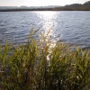 Nature reserve