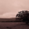 Low Cloud