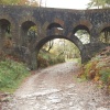 The bridge