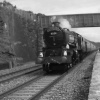 Torbay Express