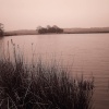 By the lake