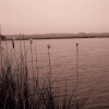 Nature Reserve